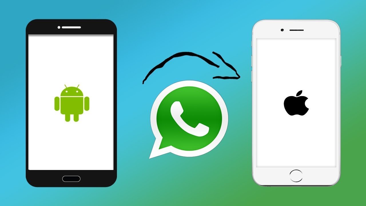 4 things to consider to transfer WhatsApp chats from iPhone to android
