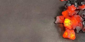 Forging: The Art of Shaping Metal for Superior Components in Manufacturing