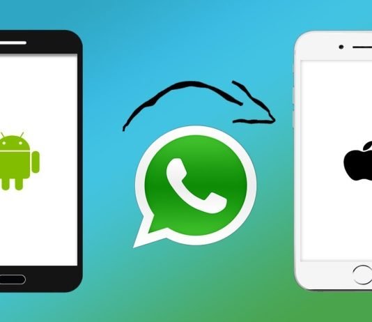 4 things to consider to transfer WhatsApp chats from iPhone to android